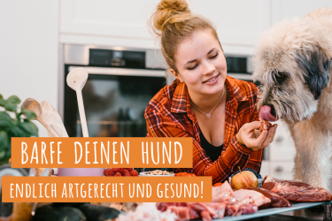 B.A.R.F – Online Kurs