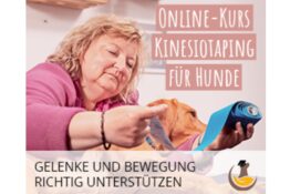Kinesiotaping – Online Kurs